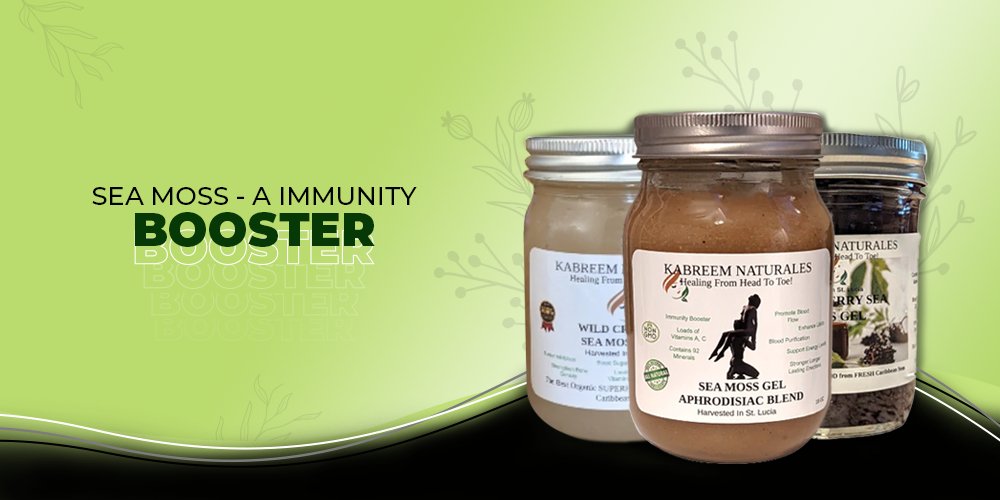 How Sea Moss Boosts Your Immune System?