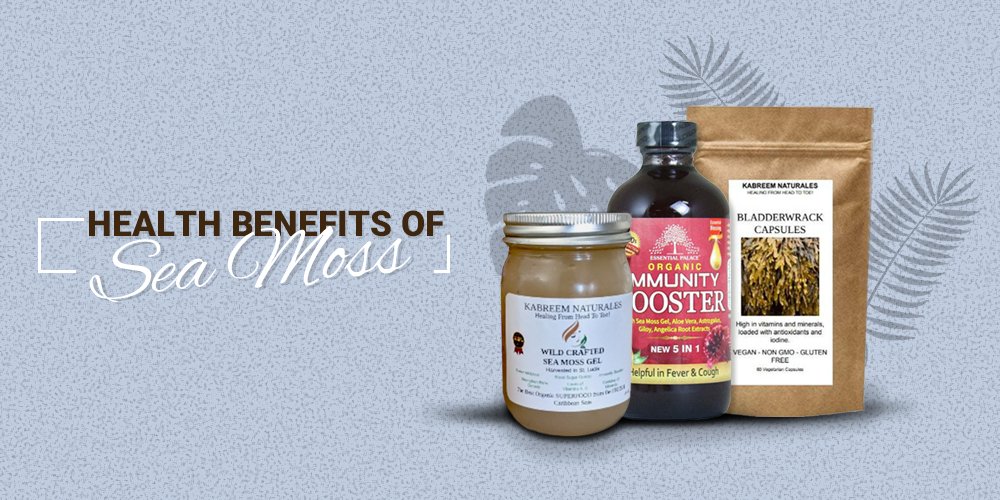 Top 5 health benefits of sea moss