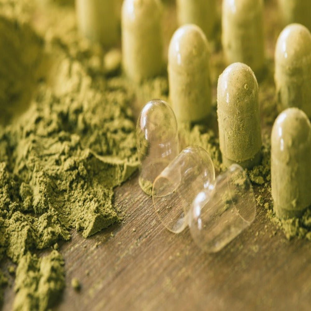 Soursop Graviola Leaf Capsules - KABREEM NATURALES