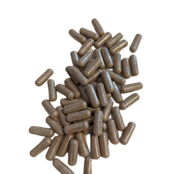 Bladderwrack Capsules - KABREEM NATURALES