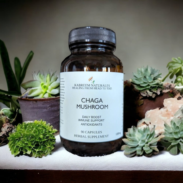 Chaga Mushroom - KABREEM NATURALES