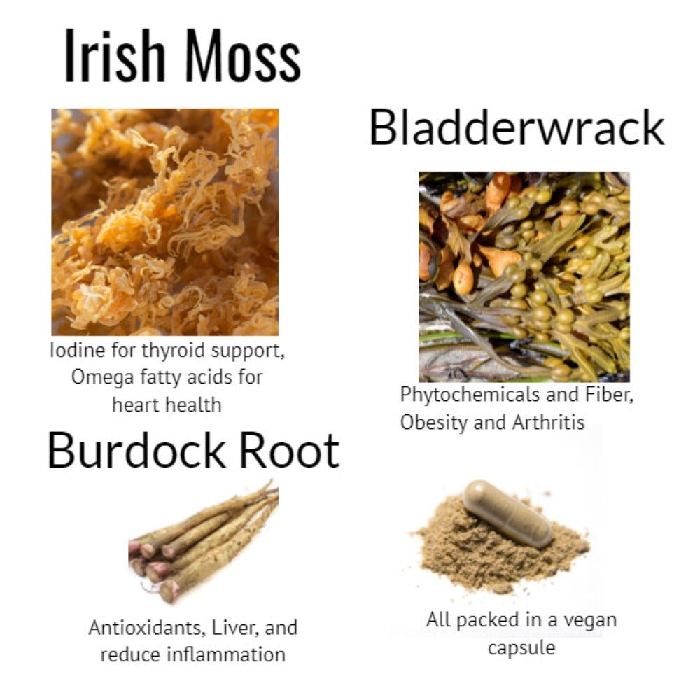 Irish Moss Bladderwrack & Burdock Capsules - KABREEM NATURALES