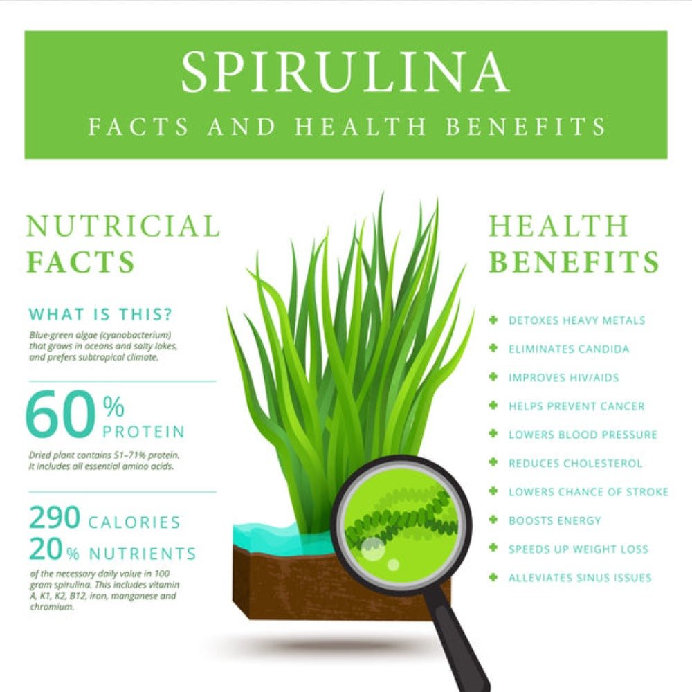 Spirulina Capsules - KABREEM NATURALES
